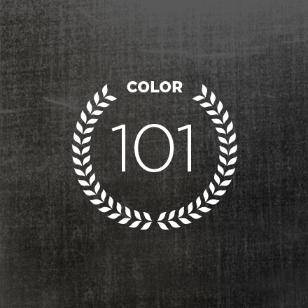 HAIR COLOR 101 ARTICLE